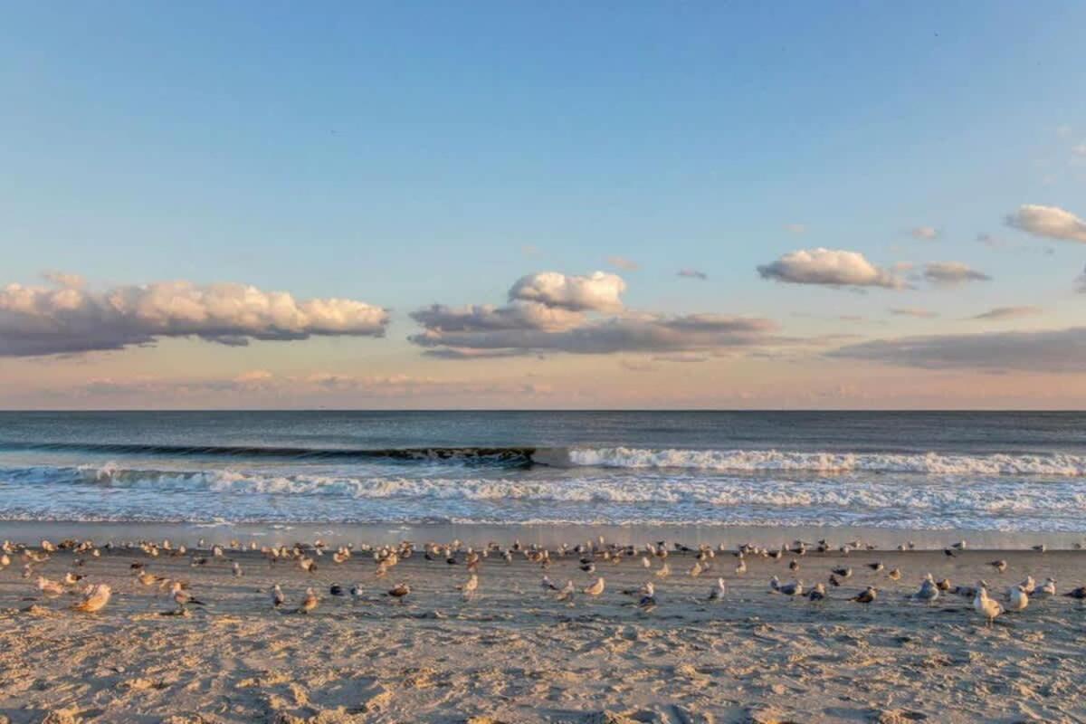 *Oceanfront Sun & Fun*Queen Beds*Pools*Hot Tubs*More*B118 Myrtle Beach Bagian luar foto